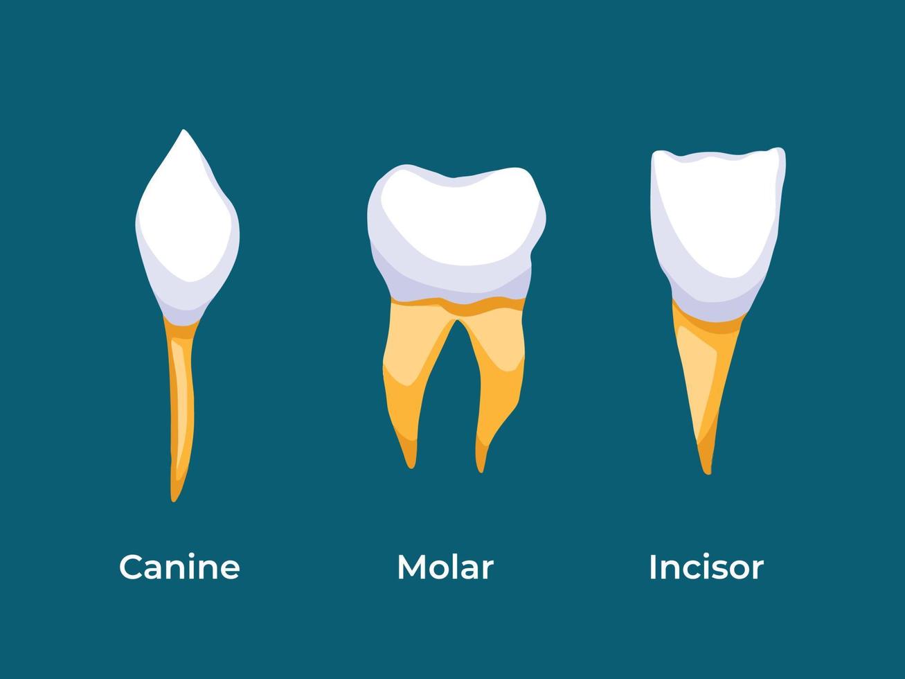 Cuida tus dientes en navidad